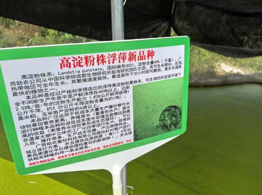 ef6ff8c874ecff63df4deef736720fa2_720.jpg ef6ff8c874ecff63df4deef736720fa2_720.jpg