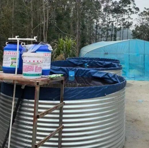 517513272bfa25239d59e0ac1df20ad5.jpeg 517513272bfa25239d59e0ac1df20ad5.jpeg