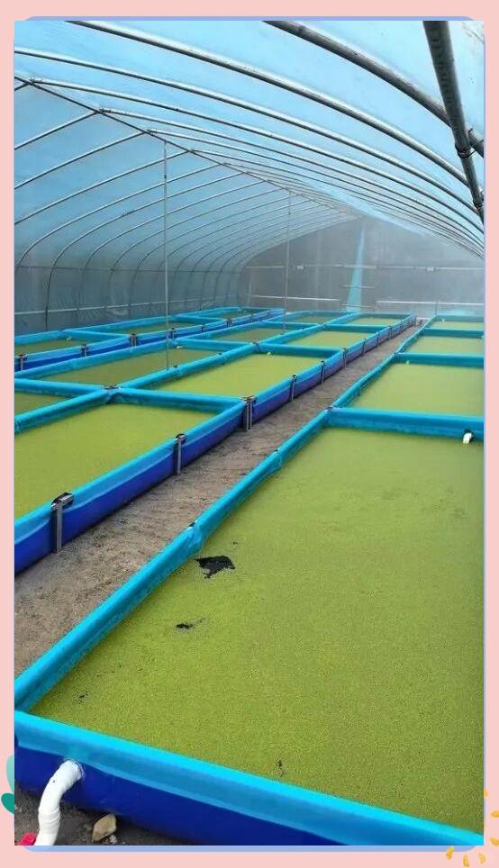 294052c14cd2cce9f1761ce211905340.jpeg 294052c14cd2cce9f1761ce211905340.jpeg