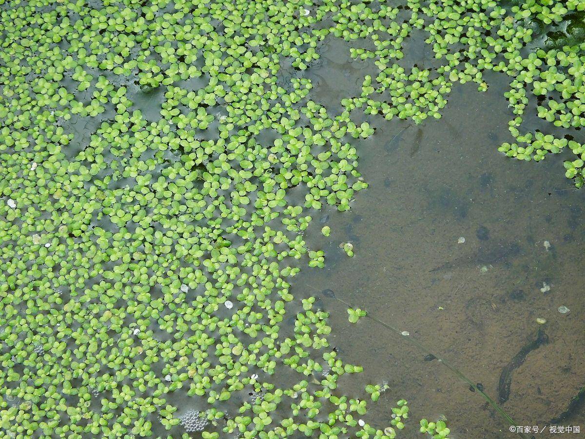 daaf0934789a16368ef82142f75b1e2b_720.jpeg daaf0934789a16368ef82142f75b1e2b_720.jpeg