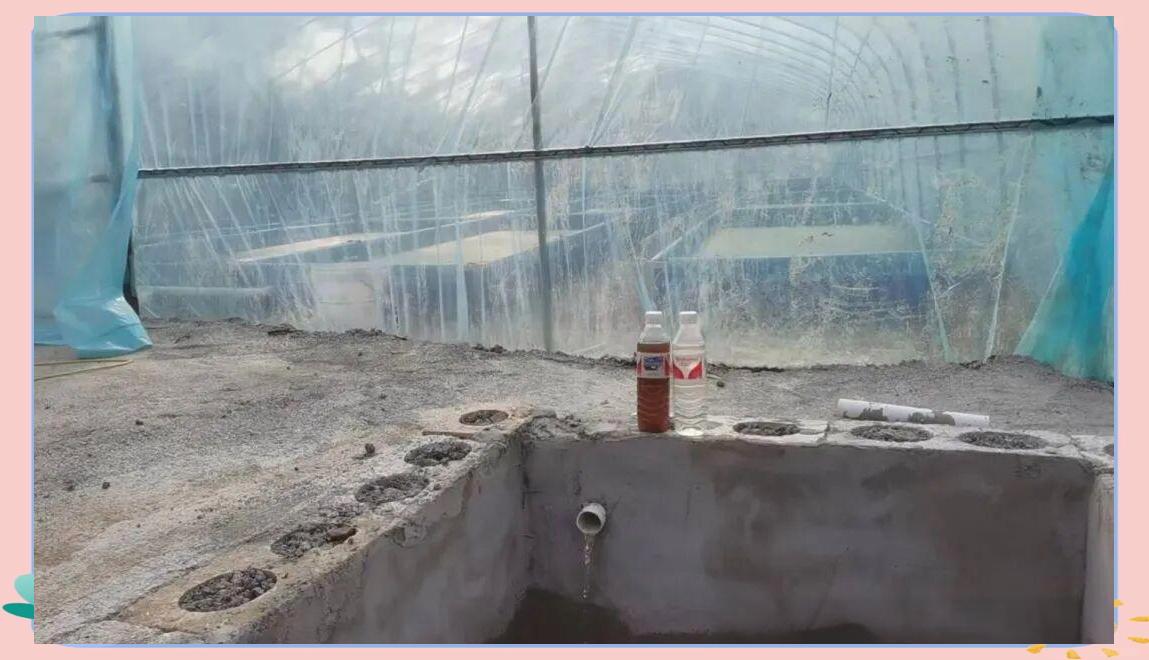 0e5d6a24f35054f4510844e80097beb7.jpeg 0e5d6a24f35054f4510844e80097beb7.jpeg