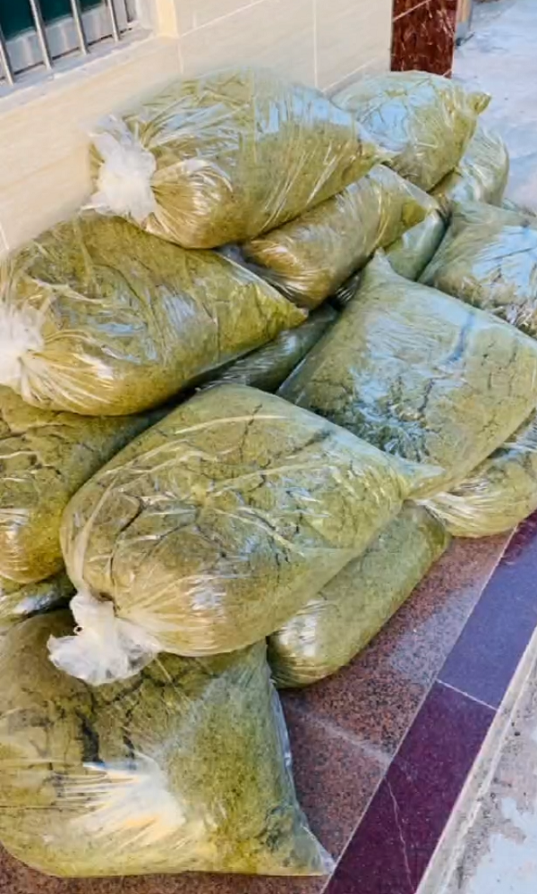 719cb30d01d5d267e7c99f9dbe2f9b03_720.png 719cb30d01d5d267e7c99f9dbe2f9b03_720.png