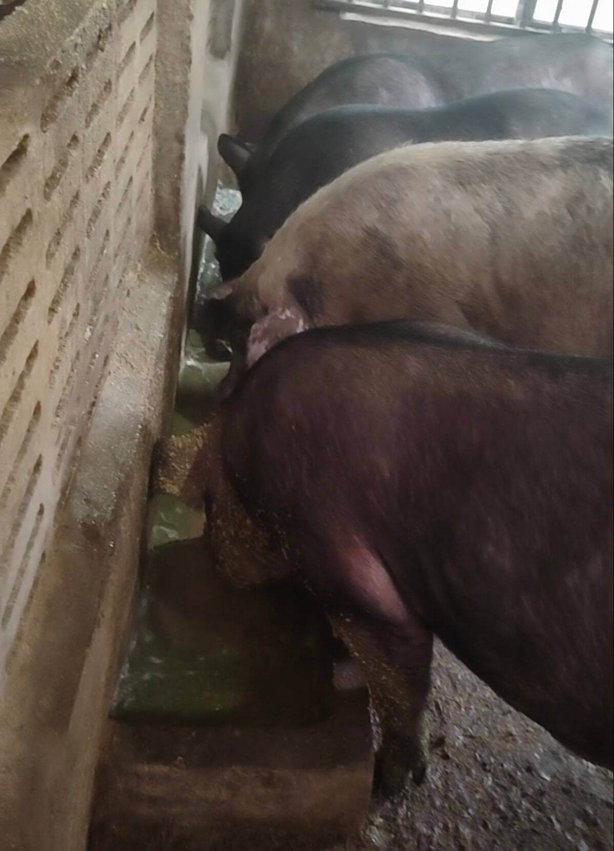 2bb970538c748dae3c84c288022ece4e_720.jpg 2bb970538c748dae3c84c288022ece4e_720.jpg