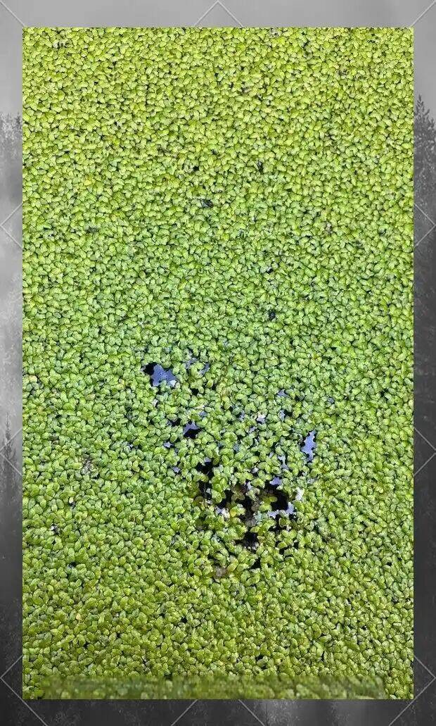 71de45d8c54eaf97f39294895ff02472_720.jpg 71de45d8c54eaf97f39294895ff02472_720.jpg