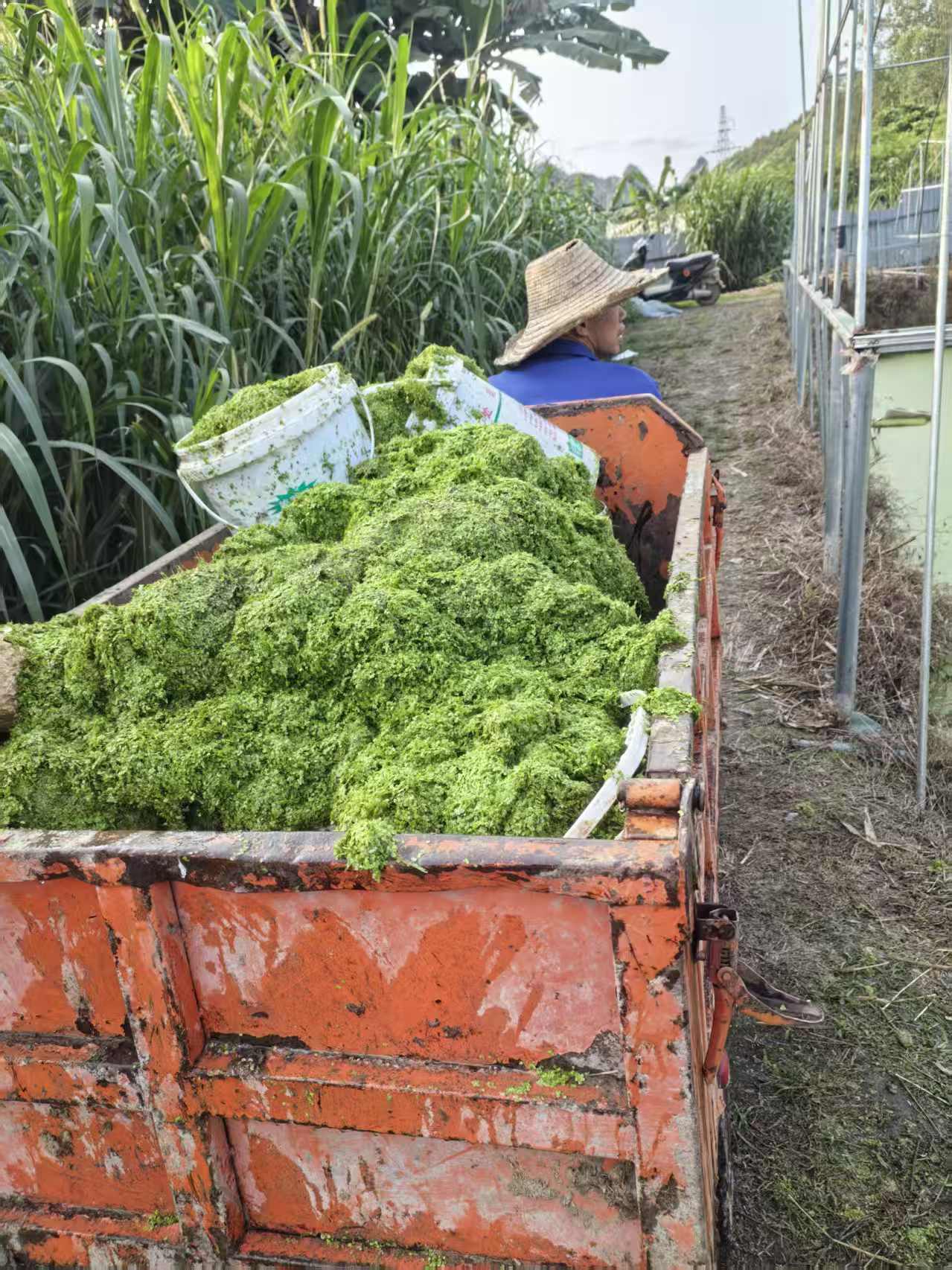 18e2fa8891bb0f216a54b7dbb2c09dcc_720.jpg 18e2fa8891bb0f216a54b7dbb2c09dcc_720.jpg