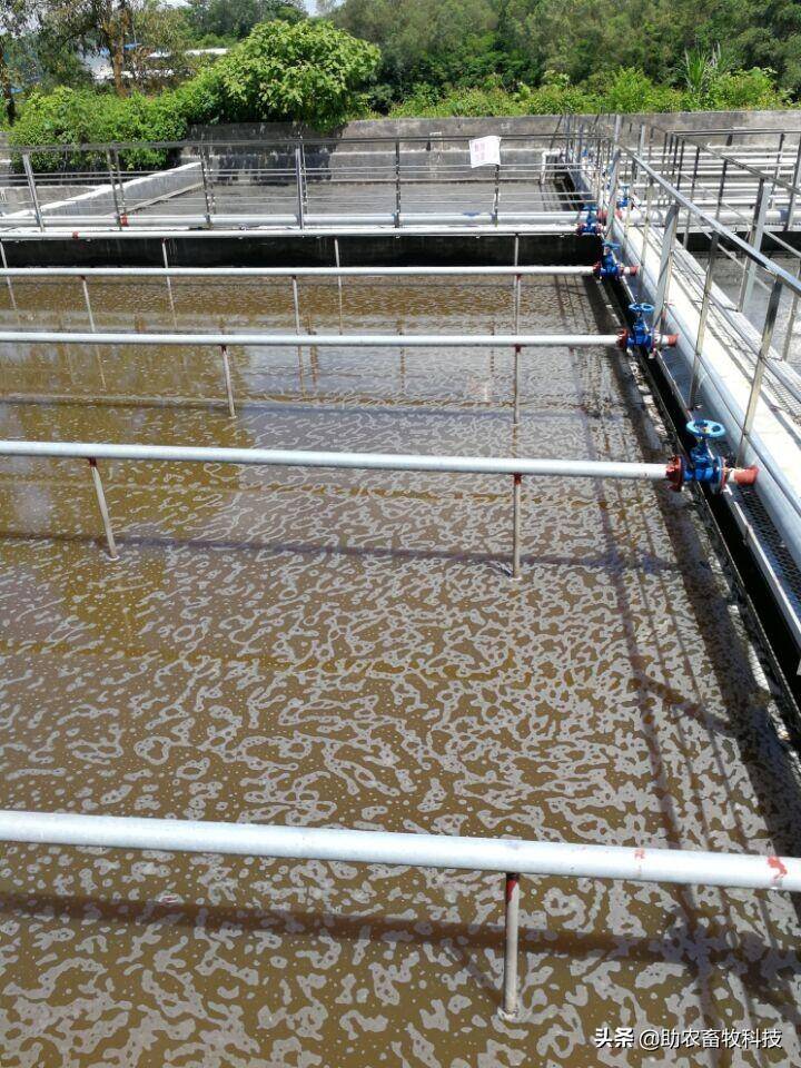 36dd867df7aa95fd9872378826ae7d98_720.jpeg 36dd867df7aa95fd9872378826ae7d98_720.jpeg