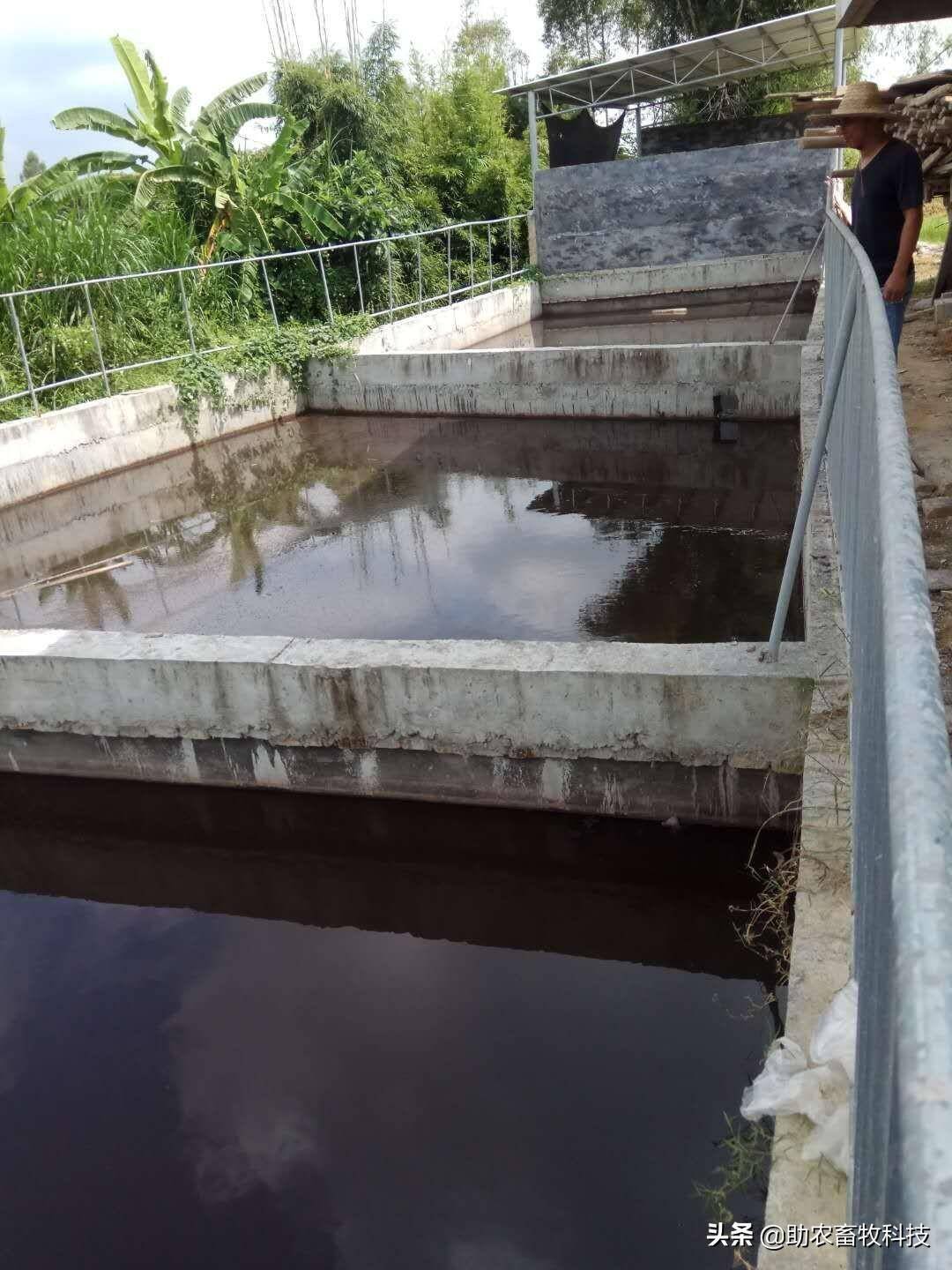 003a0ba2b31fa4b46821215b9115d300_720.jpeg 003a0ba2b31fa4b46821215b9115d300_720.jpeg