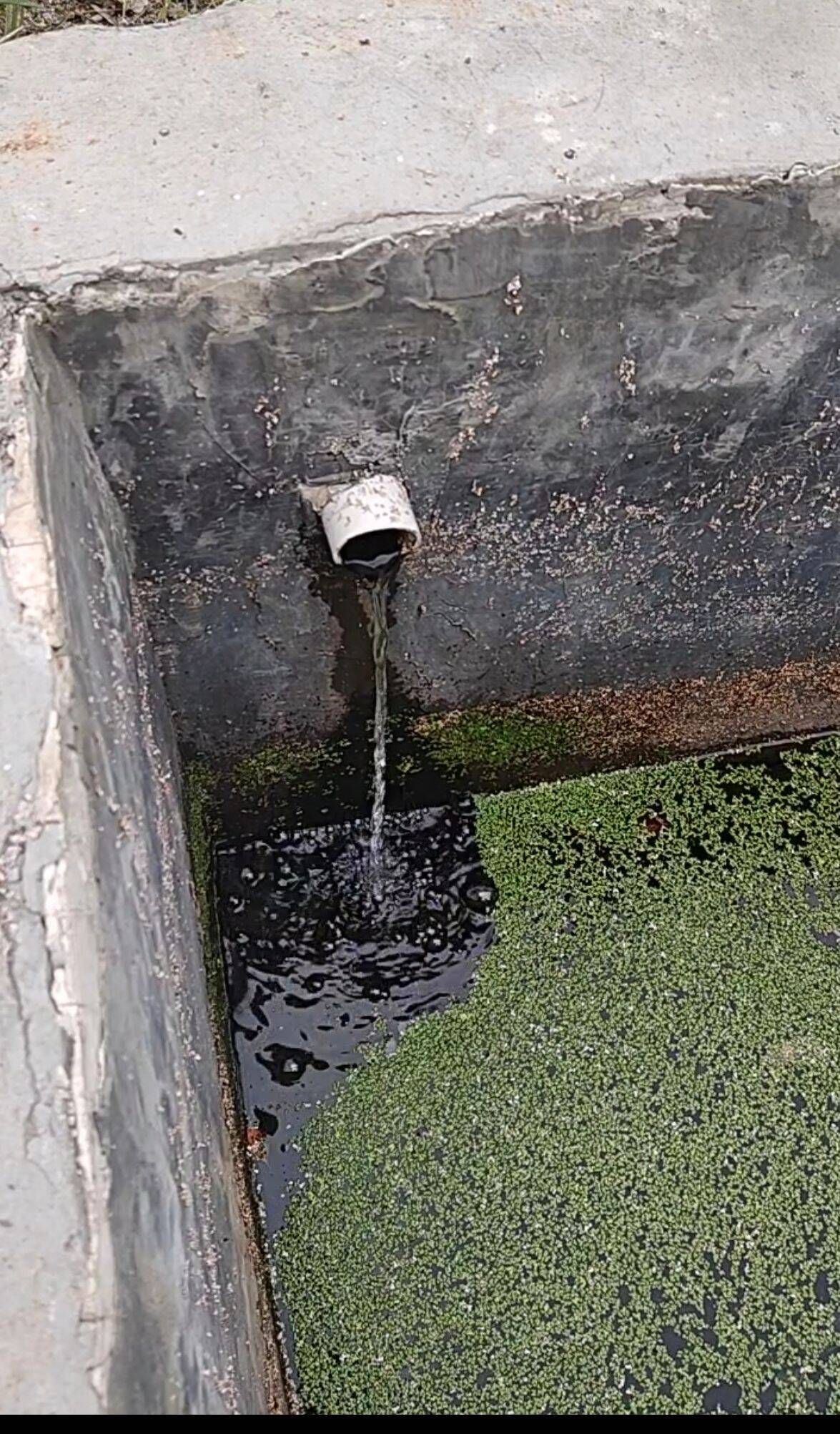 40fd709c5745db843348bfde4f49b301_720.jpg 40fd709c5745db843348bfde4f49b301_720.jpg