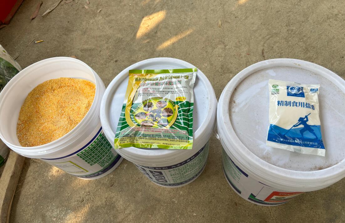 17545550575126432 (1).jpg 17545550575126432 (1).jpg