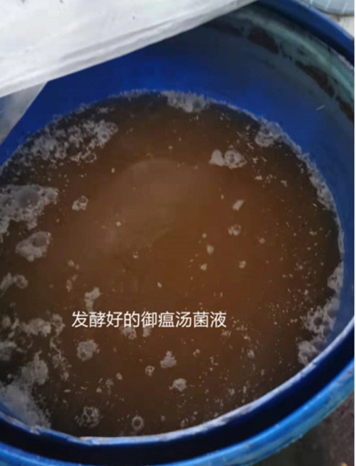 1721369526135657.png 1721369526135657.png