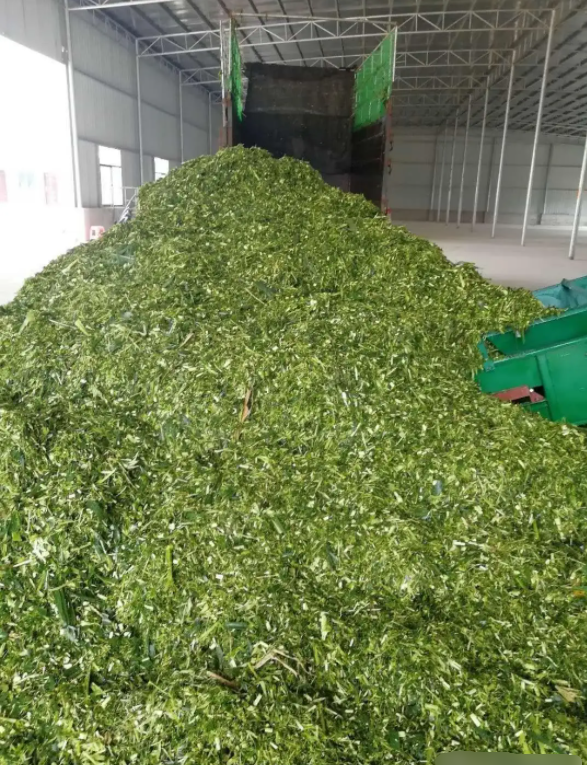 QQ图片20240113151811.png QQ图片20240113151811.png