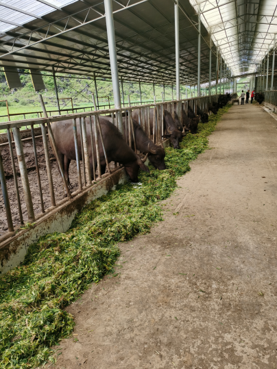 QQ图片20240113152705.png QQ图片20240113152705.png