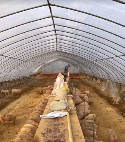 截图20260414092948.png 截图20260414092948.png