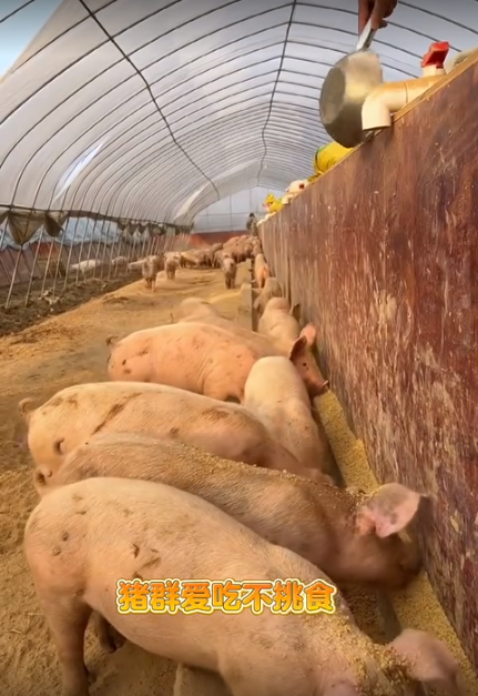 截图20260414093018.png 截图20260414093018.png