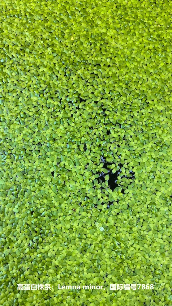 17587849127742826.jpg 17587849127742826.jpg