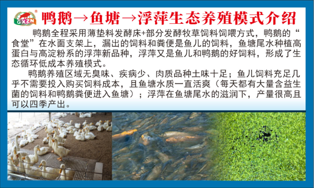 I18SW(J{[EKP7)W2OR(C~O8.png I18SW(J{[EKP7)W2OR(C~O8.png