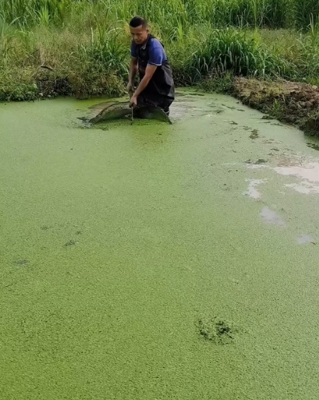 17587852256641584.jpg 17587852256641584.jpg