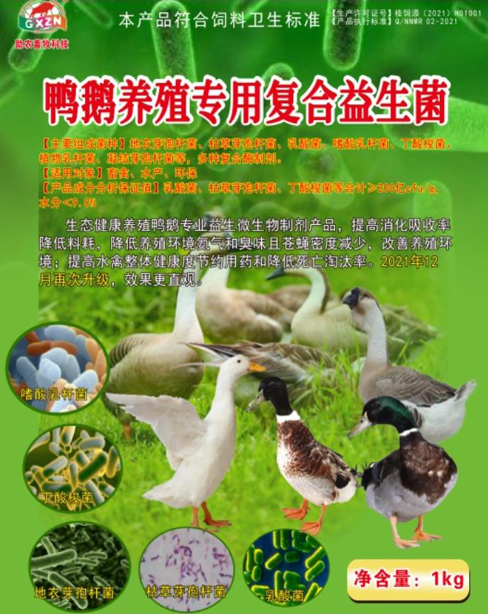 17240416158910811.jpg 17240416158910811.jpg