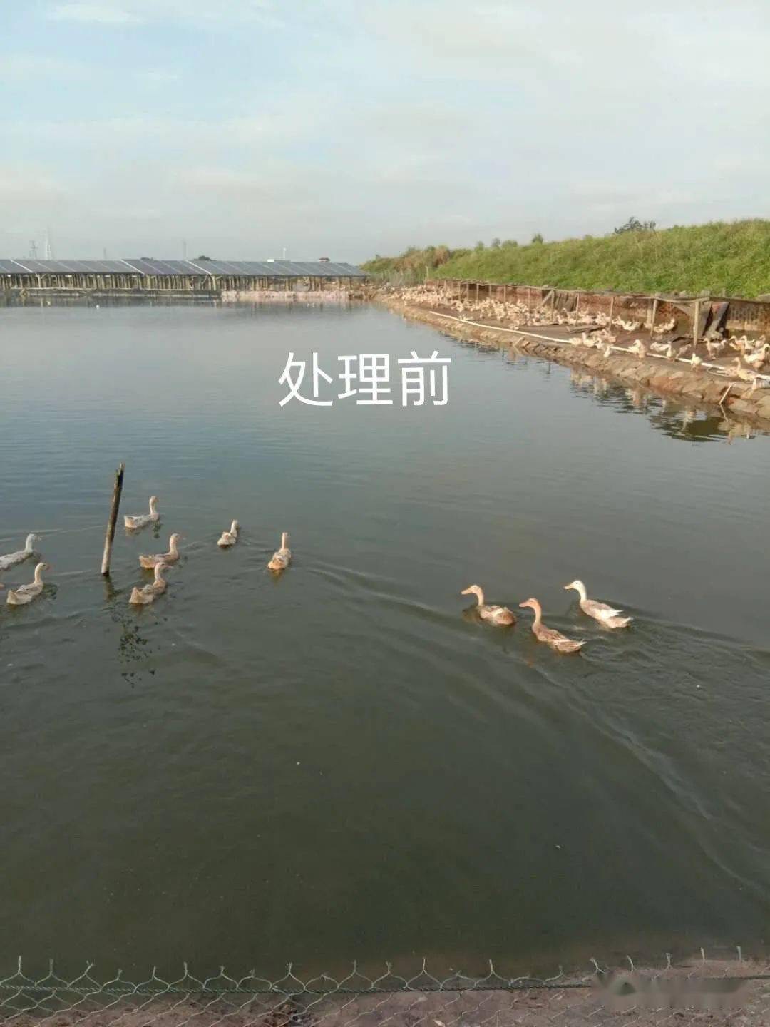 17240416615692640.jpg 17240416615692640.jpg