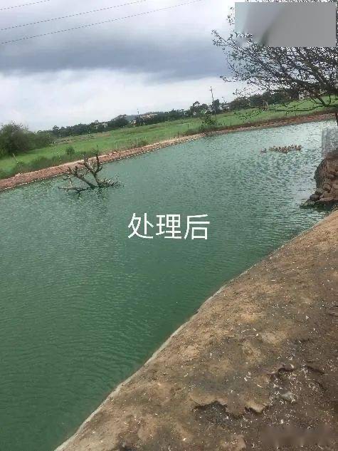 17240416836863233.jpg 17240416836863233.jpg