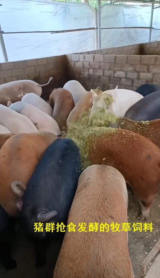 微信图片_20260415100557.jpg 微信图片_20260415100557.jpg