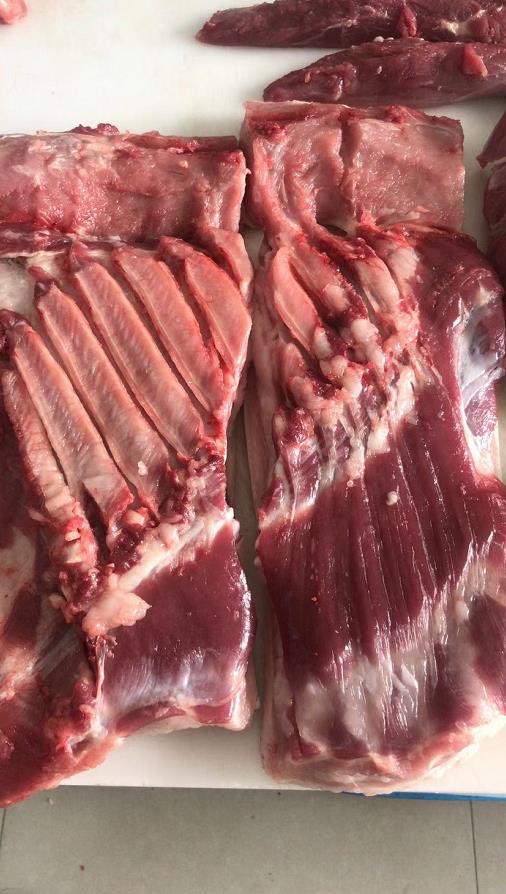 17289628698753431.jpg 17289628698753431.jpg