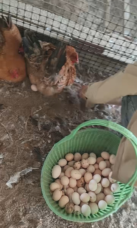 9DEB90B783B132E19D9FBF755CDC17DB.png 9DEB90B783B132E19D9FBF755CDC17DB.png