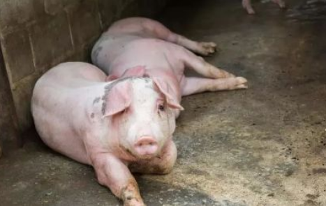 QQ图片20260415112802.png QQ图片20260415112802.png