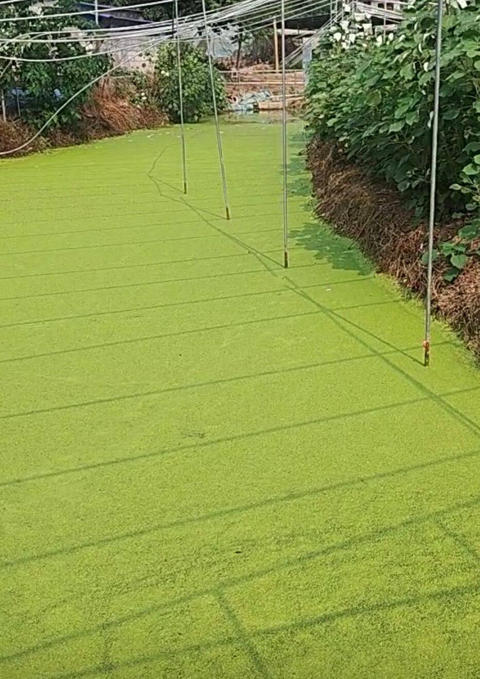 2fe6b5c90b654bf2589be17a415c60c1_720.jpg 2fe6b5c90b654bf2589be17a415c60c1_720.jpg