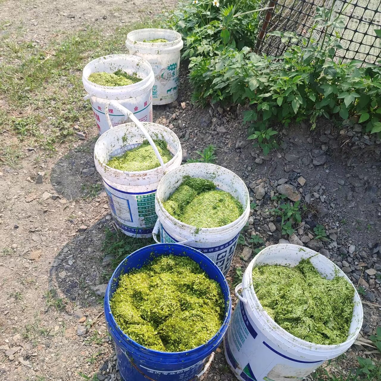 b269d166dd9f91ae934a92671a563726_720.jpg b269d166dd9f91ae934a92671a563726_720.jpg