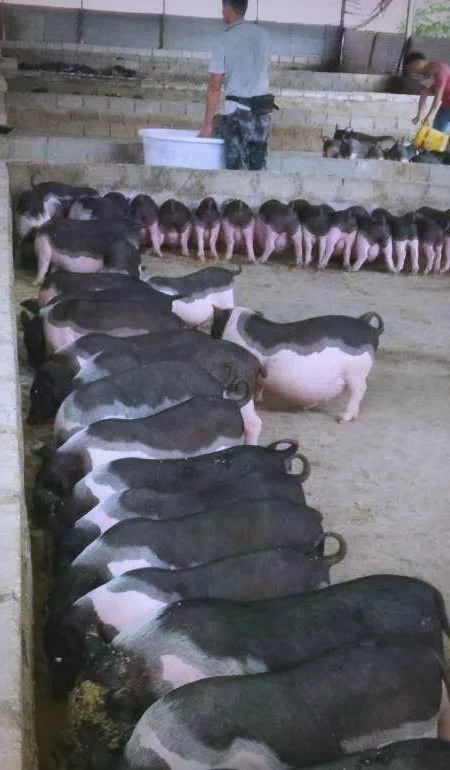 18ab1f6474d2b98bcdaa22af77fd0de7_720.png 18ab1f6474d2b98bcdaa22af77fd0de7_720.png