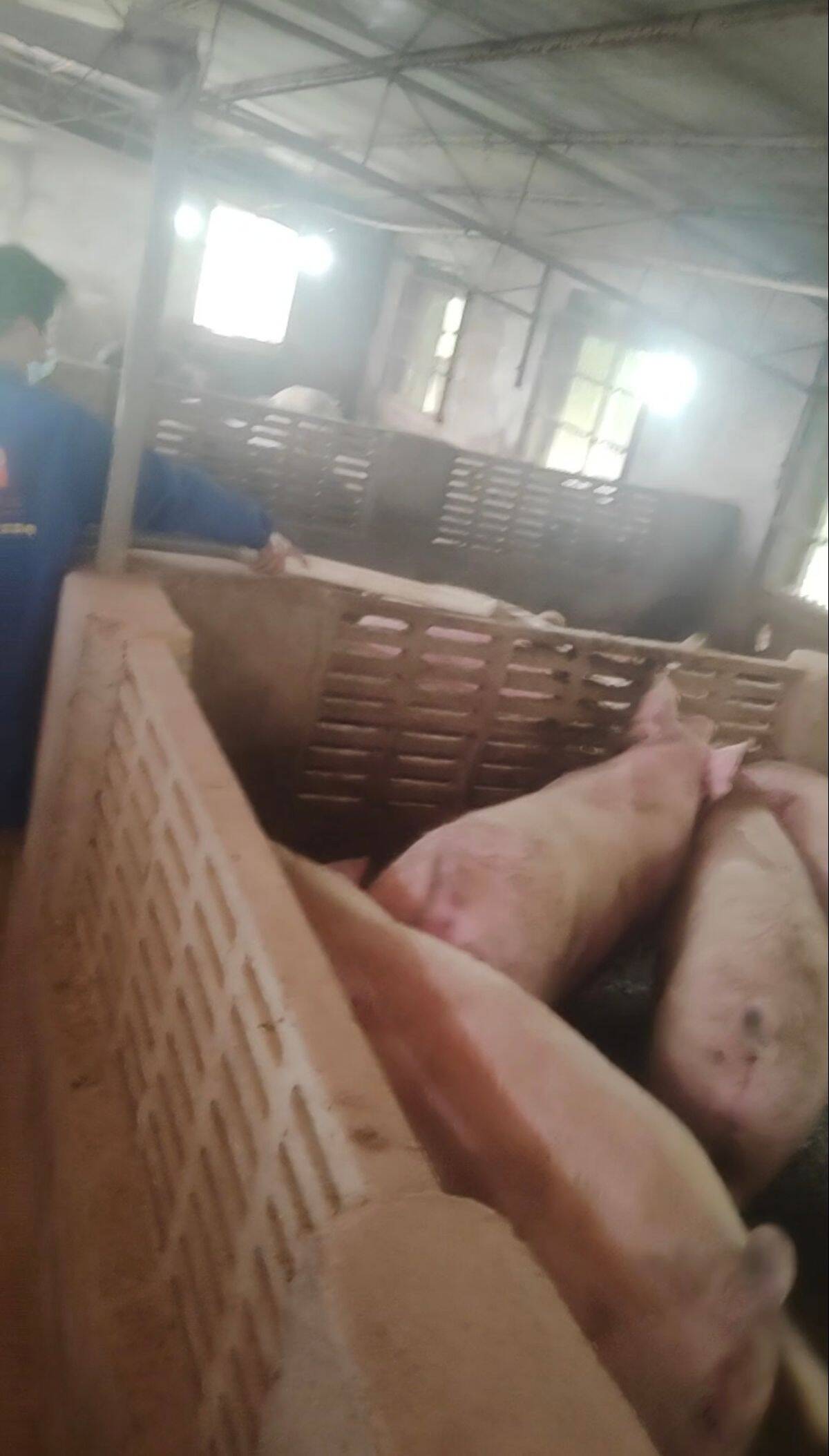 6aa341de3eae4f825c3cd84d5c777176_720.jpg 6aa341de3eae4f825c3cd84d5c777176_720.jpg