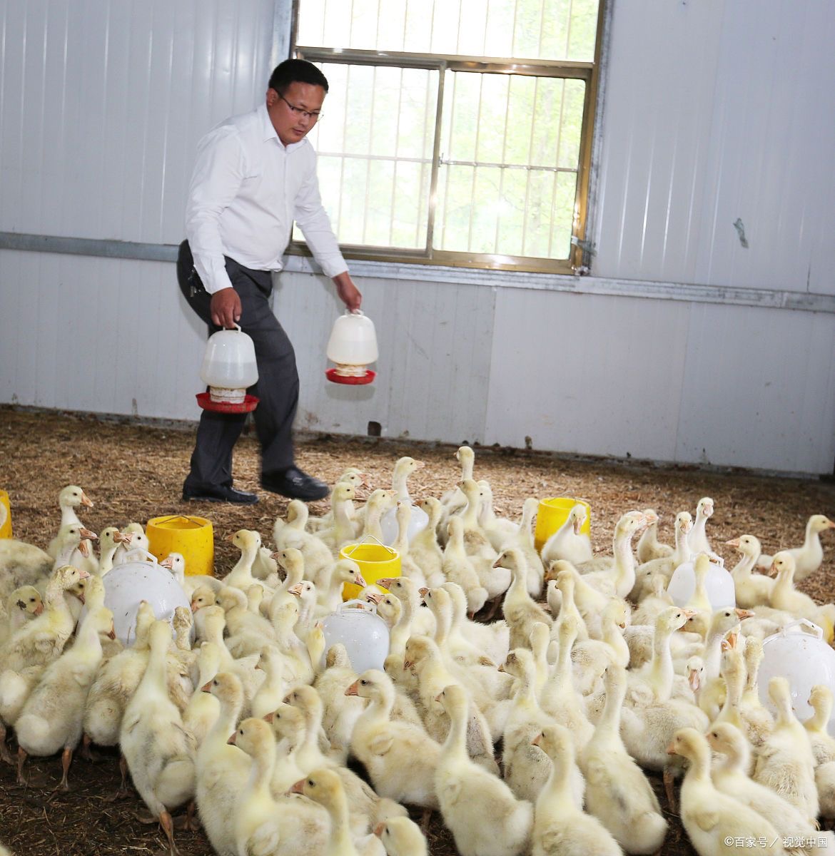 17407140836952360.jpg 17407140836952360.jpg