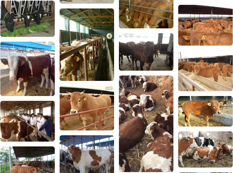 QQ图片20260416152901.png QQ图片20260416152901.png