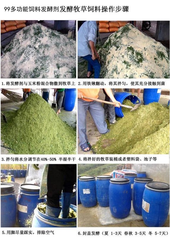 用99多功能饲料发酵剂发酵牧草饲料操作步骤.jpg