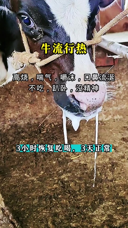 微信图片_20260507090901.jpg
