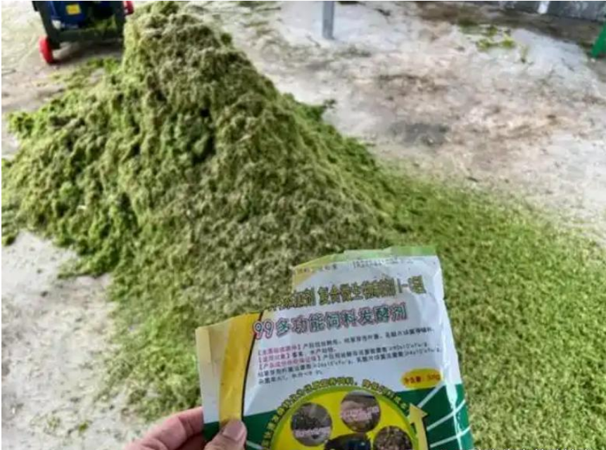 QQ图片20260512162521.png