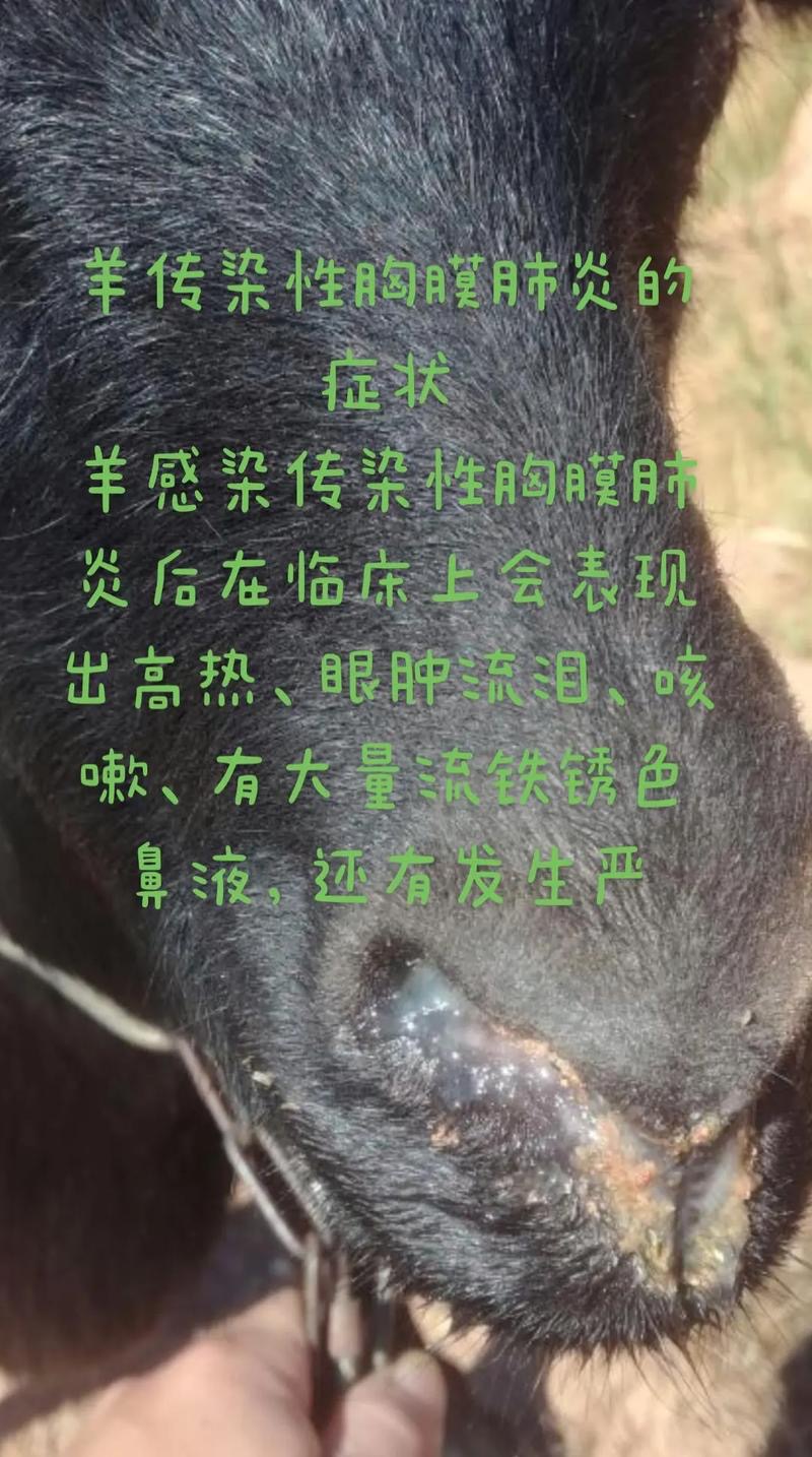 微信图片_20260513092135.jpg