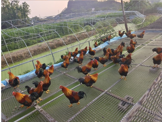 截图20260513100018.png