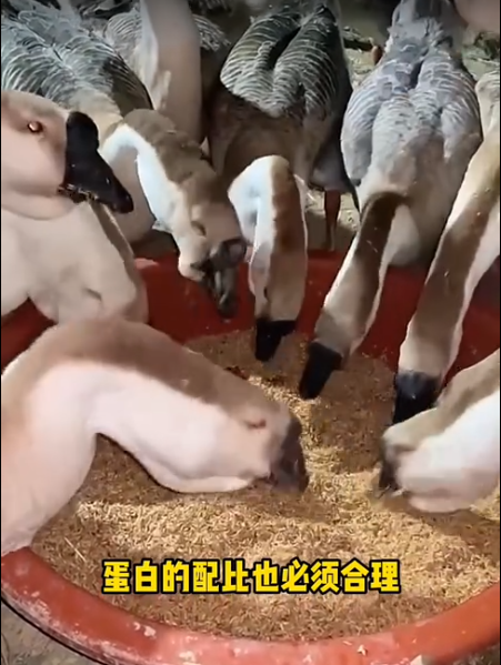 截图20260515102709.png