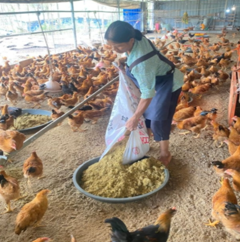 image.png image.png
