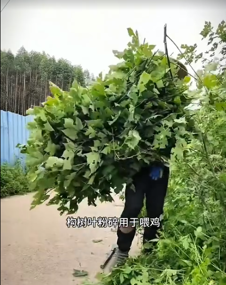 截图20260520091400.png