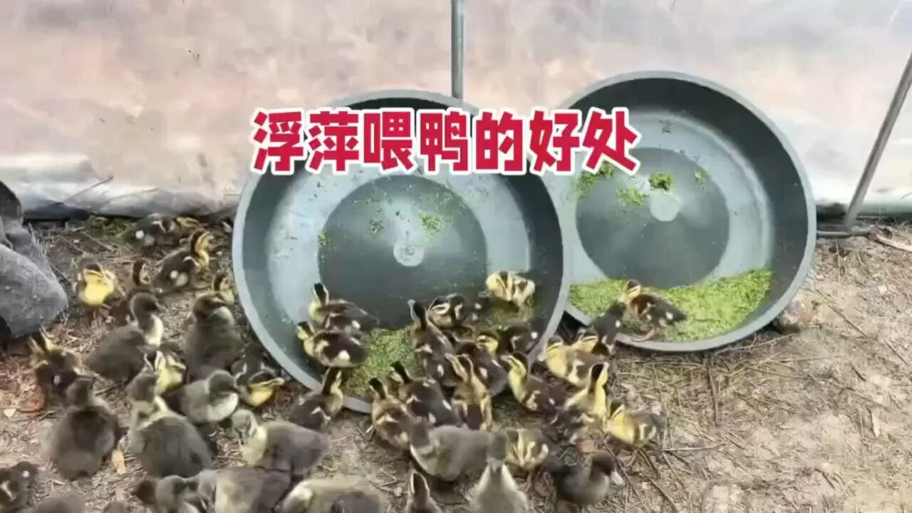 QQ图片20260521145744.png QQ图片20260521145744.png