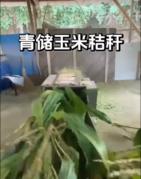 截图20260526094918.png