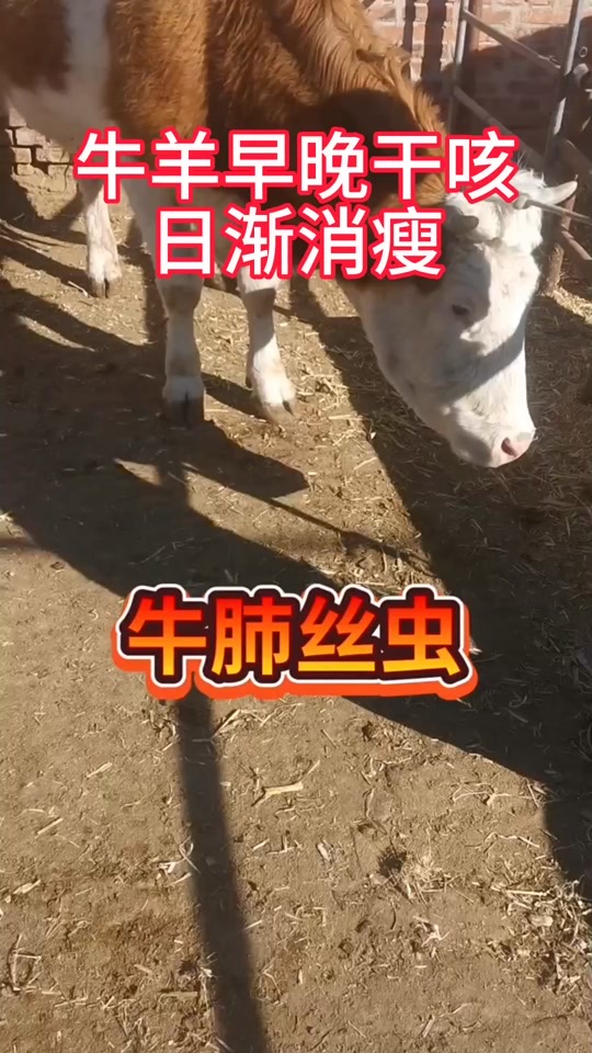 微信图片_20260609100948.jpg 微信图片_20260609100948.jpg
