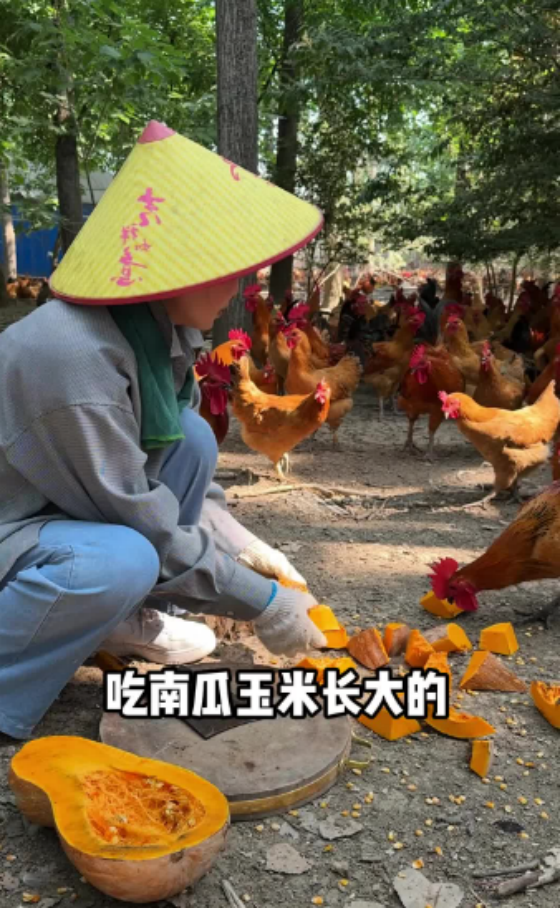 BE568205ADAA446F964A1EABFBDAF4C8.png