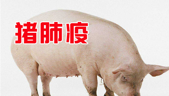 截图20260610095946.png 截图20260610095946.png