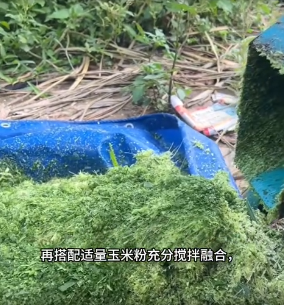 截图20260611093342.png