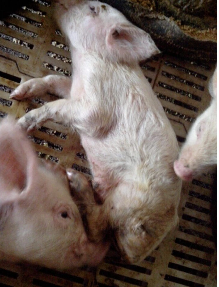 截屏2026-06-15 15.39.07.png