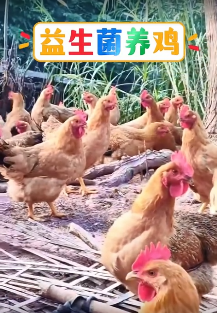 截图20260616092040.png
